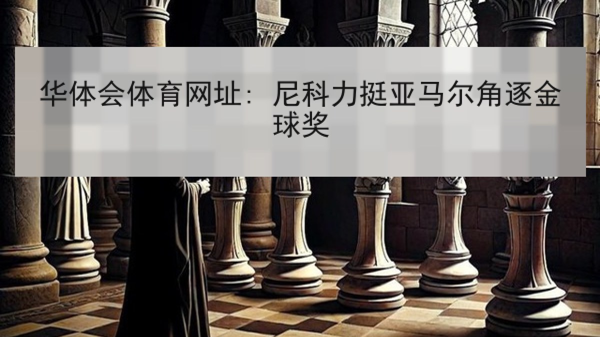 华体会体育网址: 尼科力挺亚马尔角逐金球奖